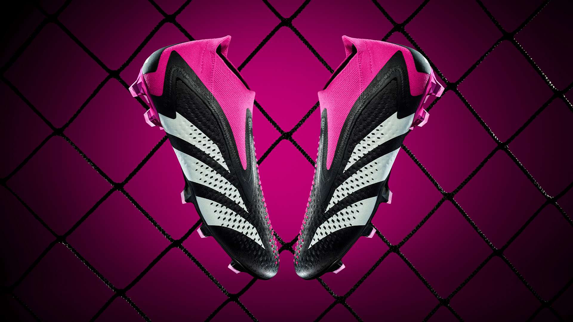 的新起點上 的新起點上