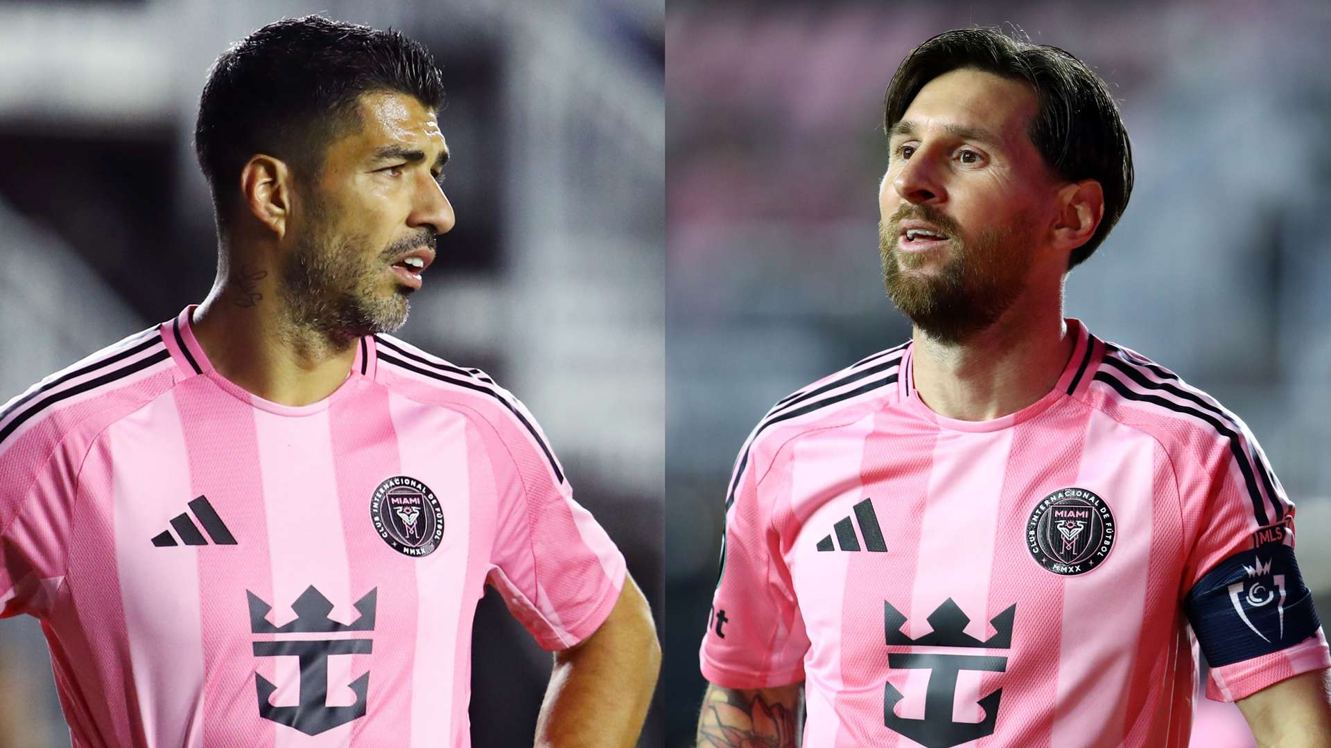 舆论的批评 舆论的批评